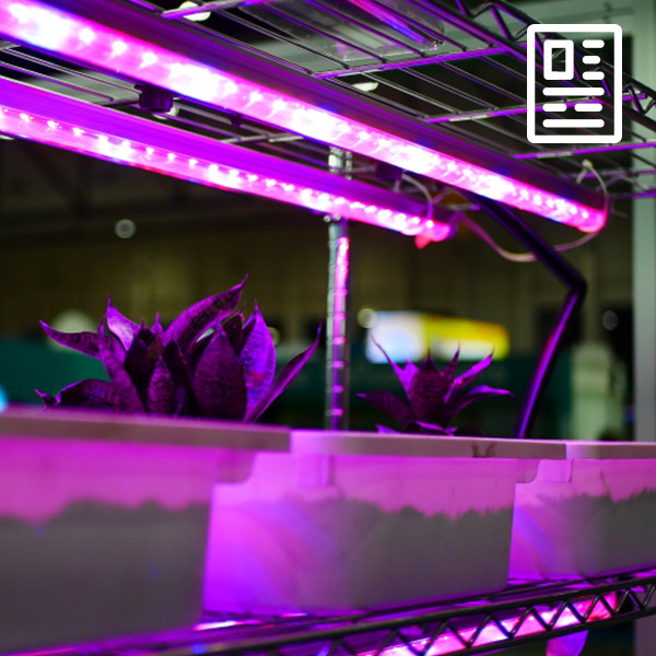 Project: Greenhouse Lighting: Automation & Control